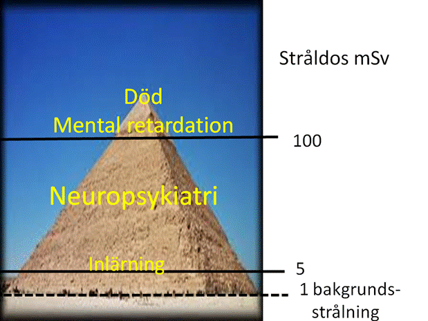 Stråldos